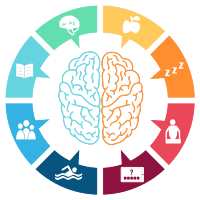 8 áreas que hay que trabajar la prevención del deterioro cognitivo